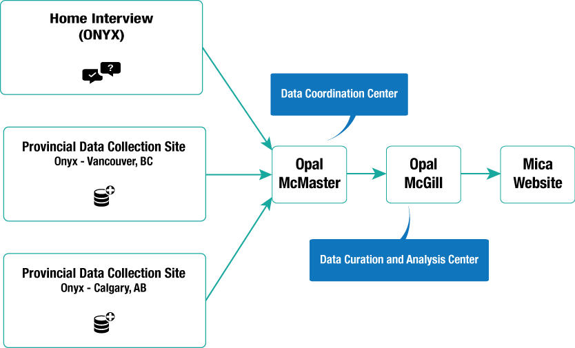 CLSA data flow between Onyx and Opal
