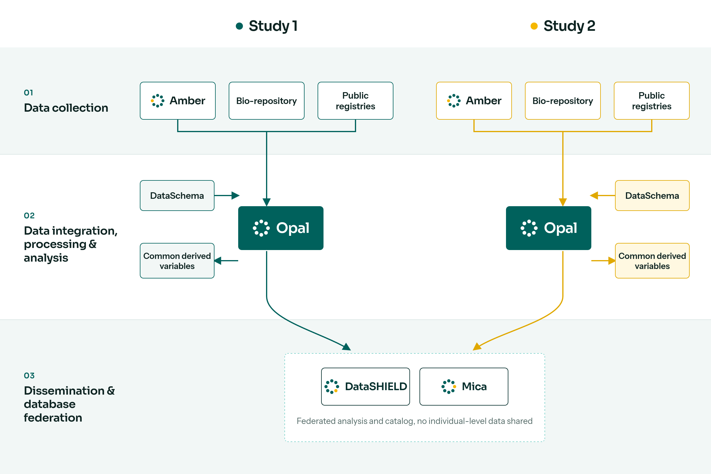 From data collection to data federation via data harmonization in a study consortium